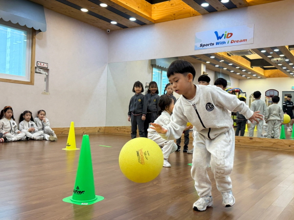 Basketball Experience